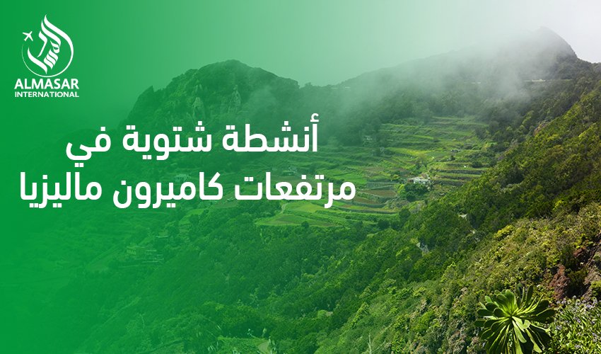 دليل الاستمتاع والجمال في أنشطة شتوية في مرتفعات كاميرون ماليزيا لعام 2026